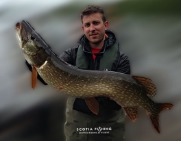 guided-pike-fly-fishing-uk