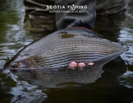 grayling-fishing-44