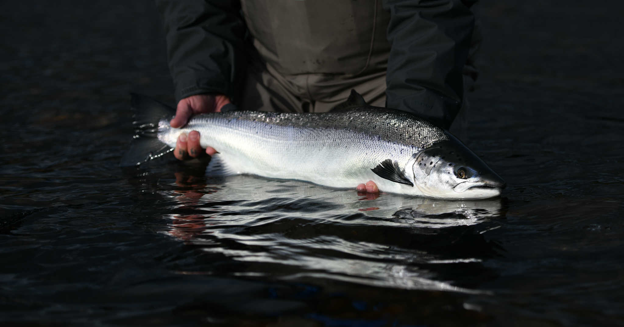 Salmon Fishing on the River Tay in Scotland