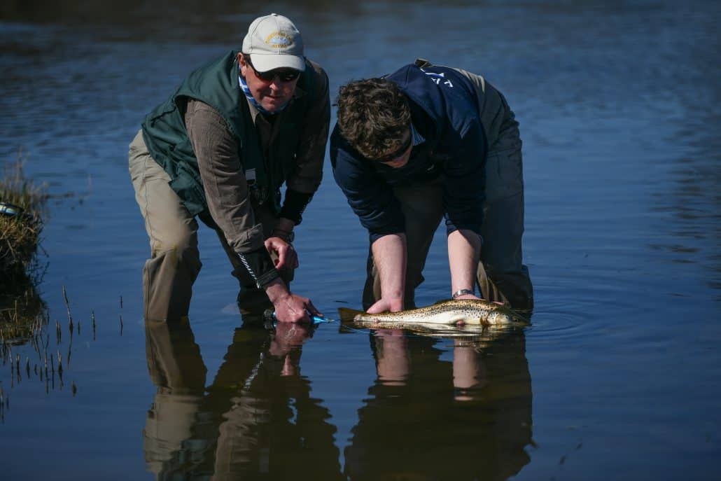 Scottish-fishing-report-2025