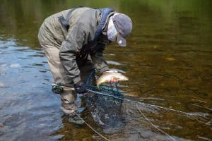 tweed-trout-fishing-report-2025