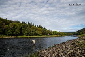 the-best-salmon-fishing-in-scotland