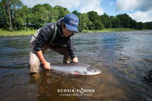 river-tay-summer-salmon-scotland