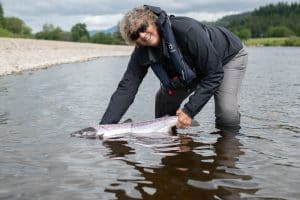 scottish-salmon-fishing-report-2025-river-tay