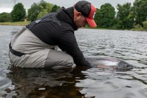 river-tay-scottish-salmon-fishing-report-2025