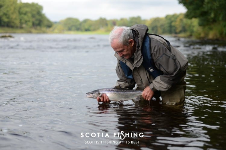 Salmon Fishing Dreams on the River Tay…