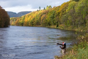 best-salmon-fishing-scotland