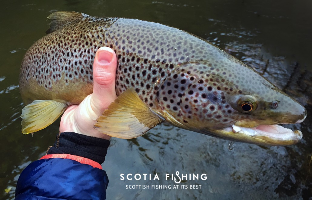 march-april-fishing-in-scotland-2015