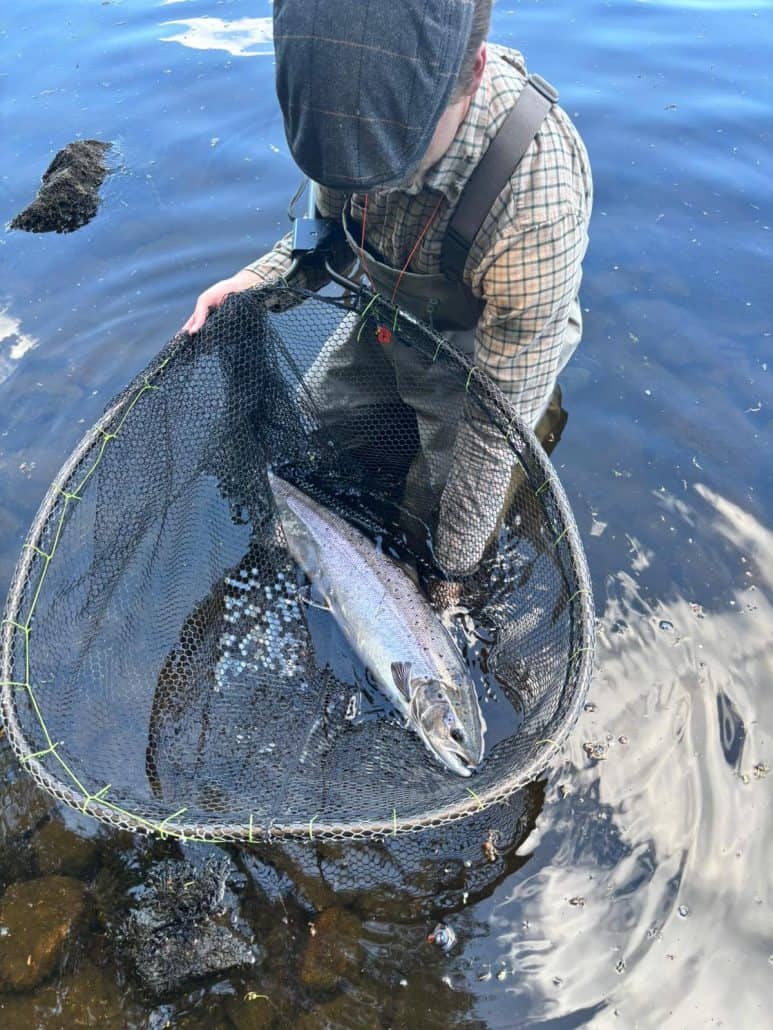 scottish-Salmon-fishing-report-2025