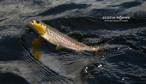 loch-fishing-in-scotland