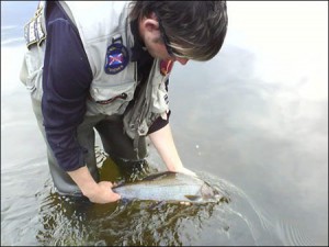 grayling-fishing-scotland