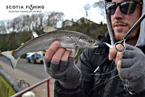 lrf-fishing-in-scotland