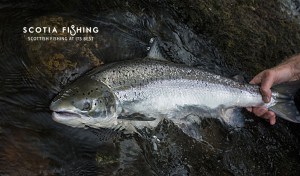 best-salmon-fishing-in-scotland