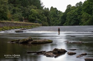 salmon-fly-fishing-stirling-stirlingshire