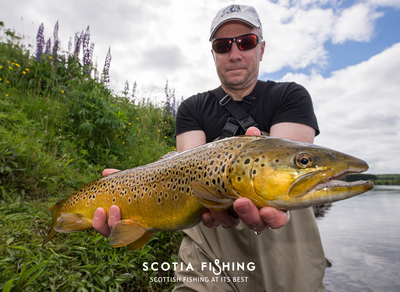 tay-trout-fishing-near-dundee