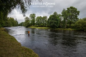 fishing-trips-near-loch-lomond-cameron-house