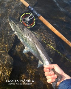 fly-fishing-stirling-01
