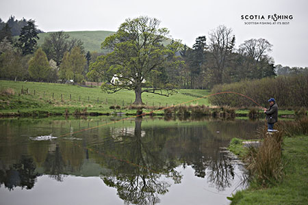 trout-fishing-in-scotland