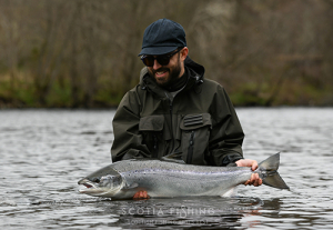 what-is-a-springer-salmon
